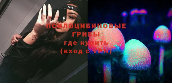 СК Аркадак