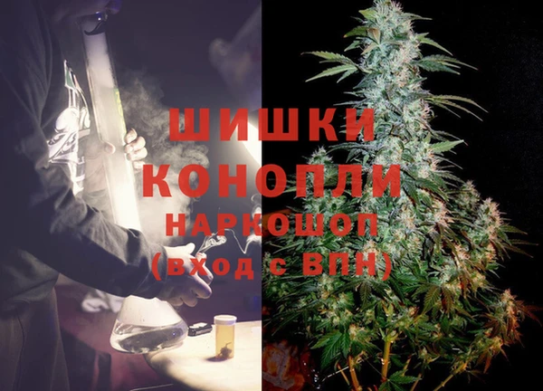 СК Аркадак