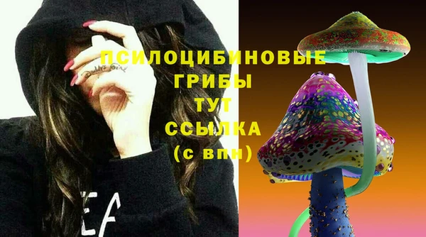 mix Армянск