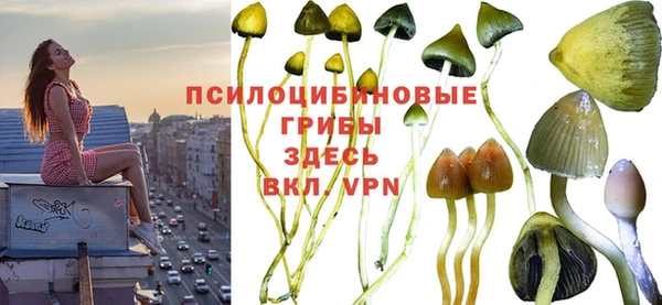 СК Аркадак